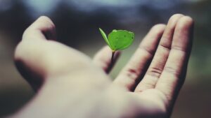 Compounding Growth1