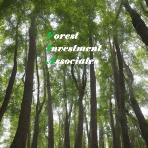 Forest Investment Associates